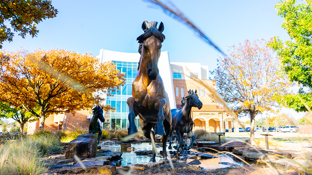 MSUTexas